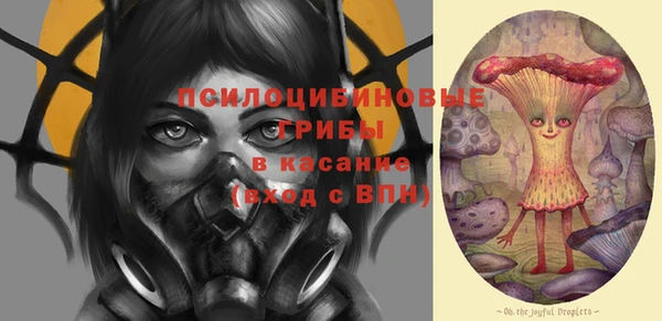 амф Алексин